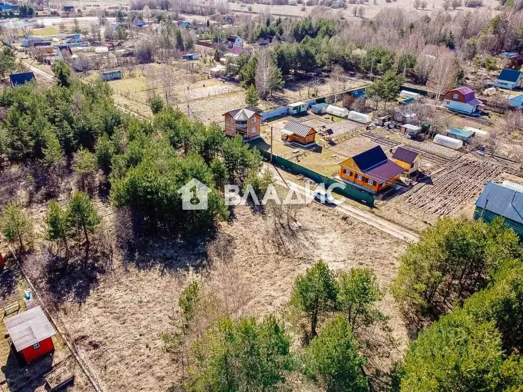 Участок в Владимирская область, Суздальский район, Селецкое ... - Фото 1