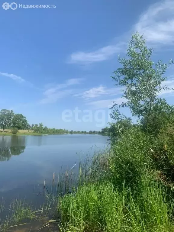 Участок в Энгельсский район, Красноярское муниципальное образование, ... - Фото 1