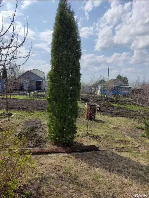 Участок в Ульяновская область, Ульяновск Спецстроевец СНТ,  (4.2 сот.) - Фото 1