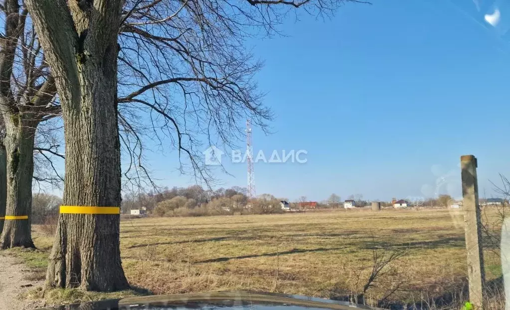 Участок в Калининградская область, Зеленоградский муниципальный округ, ... - Фото 2