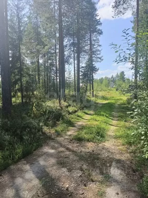 Участок в Коми, Сыктывдинский район, с. Выльгорт, Помидор СДТ проезд ... - Фото 2