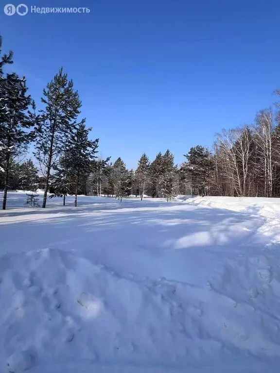 Участок в Барышевский сельсовет, садовое товарищество Ключи-4 Западные ... - Фото 1