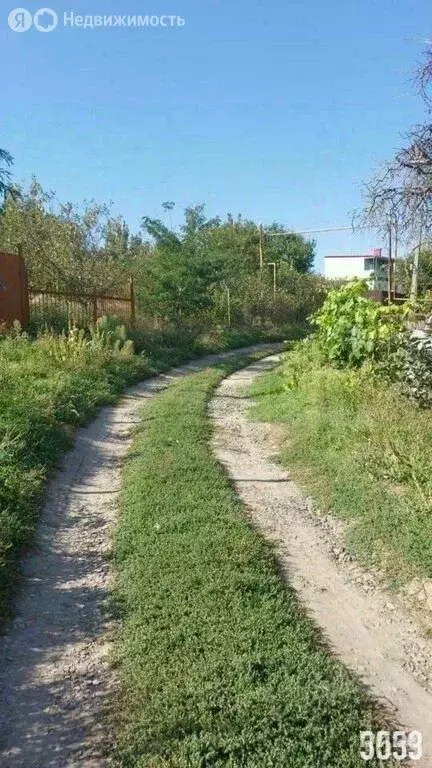 Участок в Мишкинское сельское поселение, садоводческое товарищество ... - Фото 0