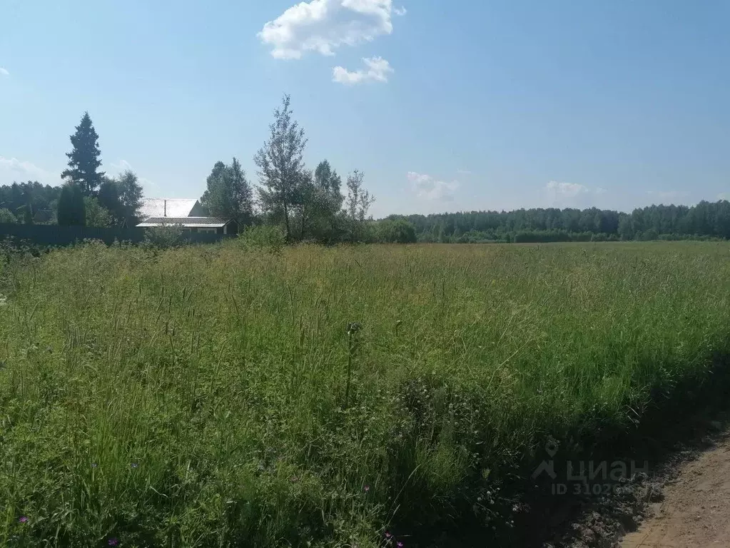 Участок в Московская область, Дмитровский городской округ, Раменье дп  ... - Фото 1