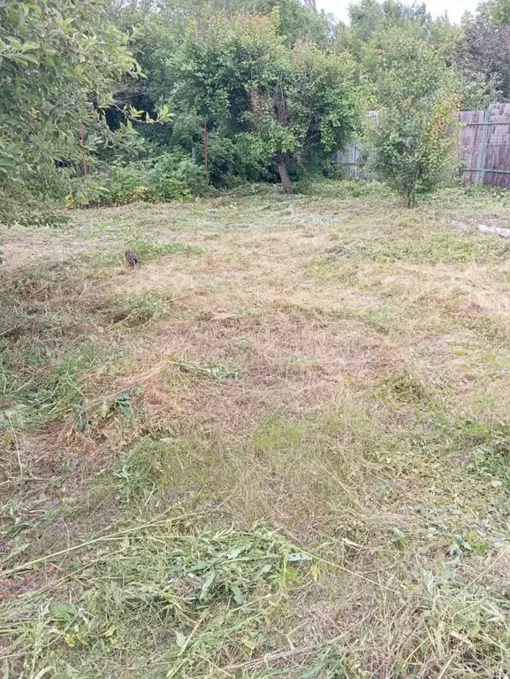 Участок в Саратовская область, пос. Тепличный проезд 2-й Монтажный ... - Фото 2