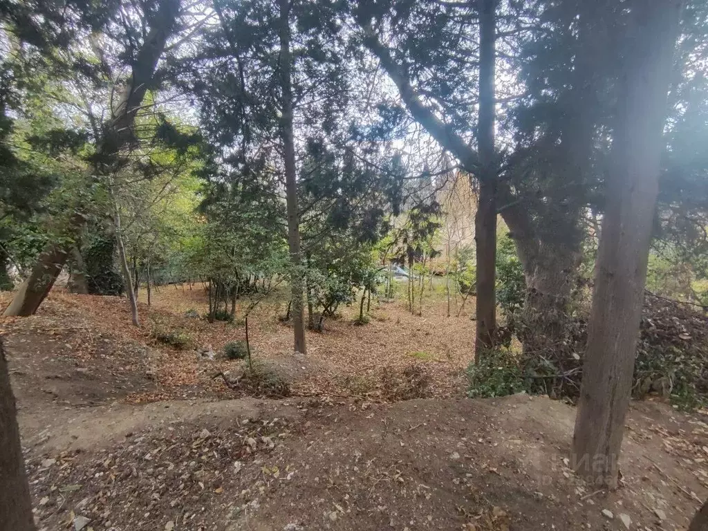 Участок в Крым, Алупка ул. Западная (7.3 сот.) - Фото 1