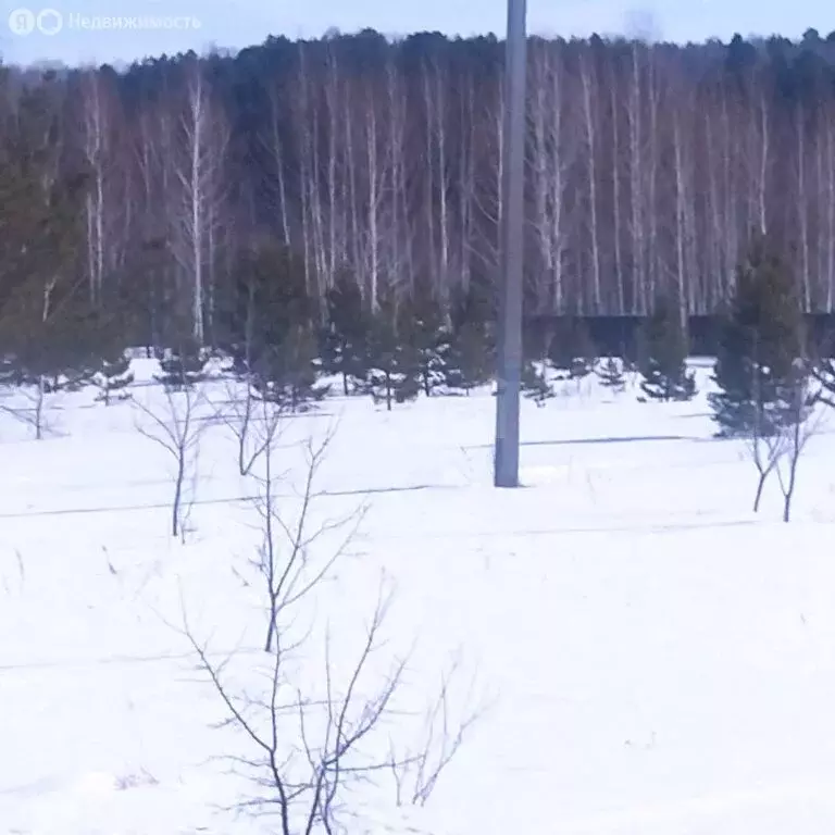 Участок в Тюменская область, Ишимский муниципальный округ, посёлок ... - Фото 1