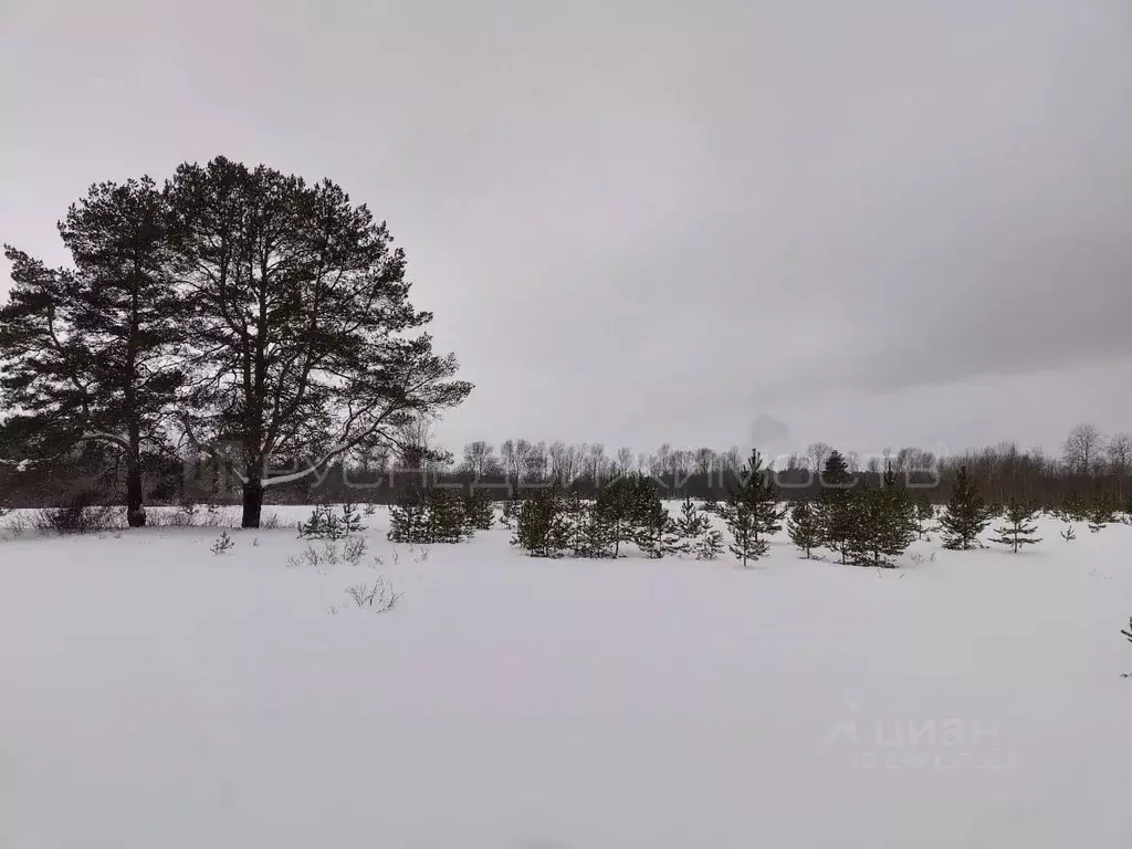 Участок в Кировская область, Слободской район, Ильинское с/пос, с. ... - Фото 0