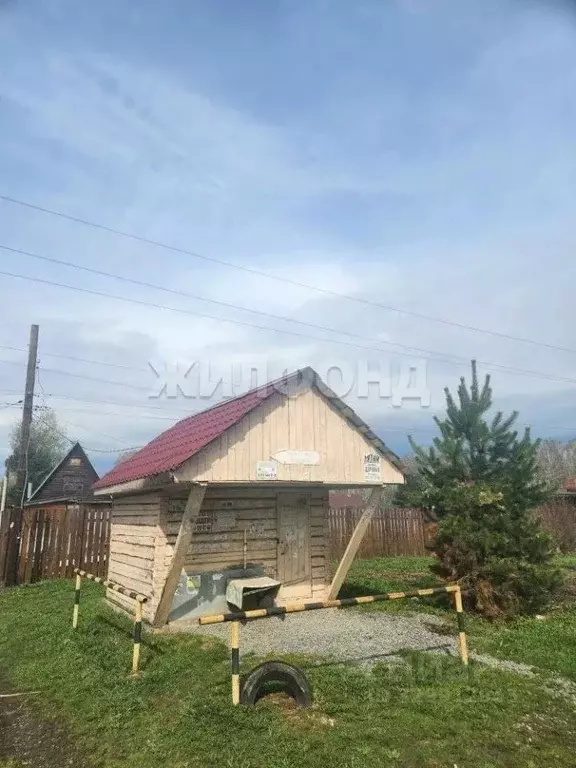 Участок в Новосибирская область, Новосибирский район, Березовский ... - Фото 1