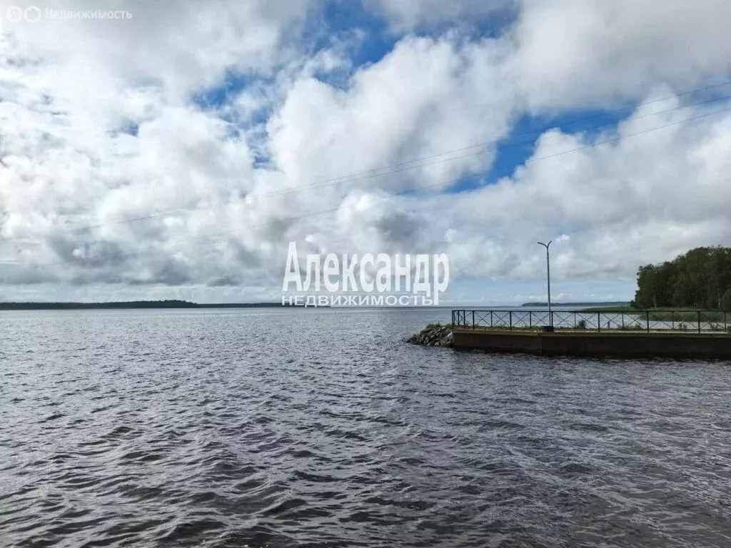 Участок в Республика Карелия, Питкярантский муниципальный округ, ... - Фото 2