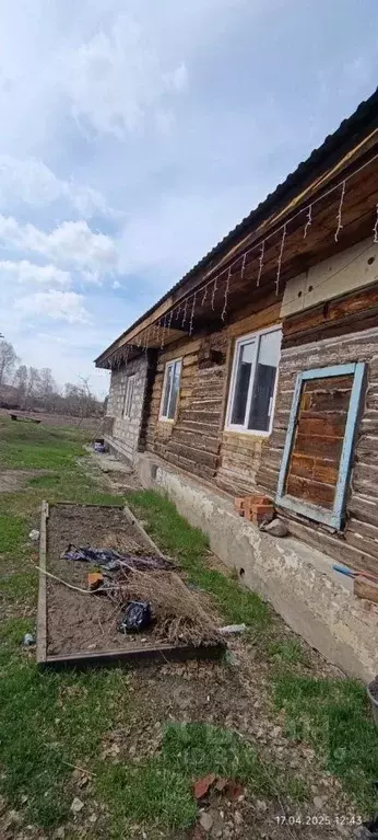 Дом в Алтайский край, Бийский район, с. Малоенисейское Светлоозерский ... - Фото 1