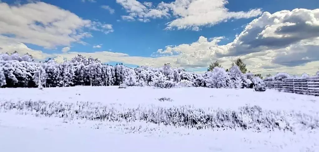 Участок в Владимирская область, Доброград муниципальный округ, д. ... - Фото 2