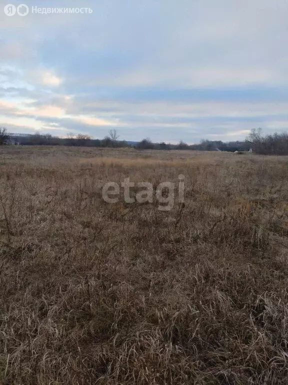 Участок в Белгородская область, Новый Оскол (100 м) - Фото 0