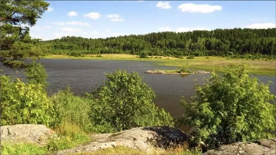 Участок в Карелия, Питкярантский район, Импилахтинское с/пос  (100.0 ... - Фото 1