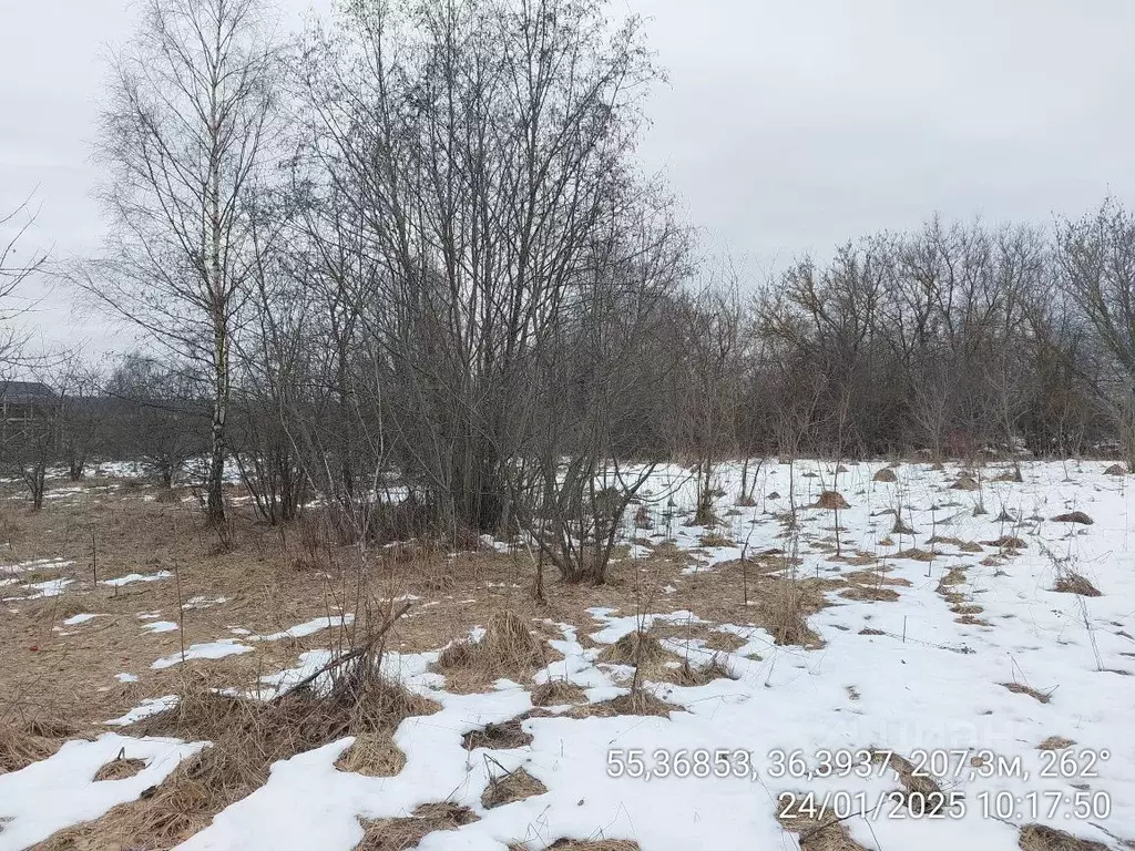 Участок в Московская область, Наро-Фоминский городской округ, д. ... - Фото 0