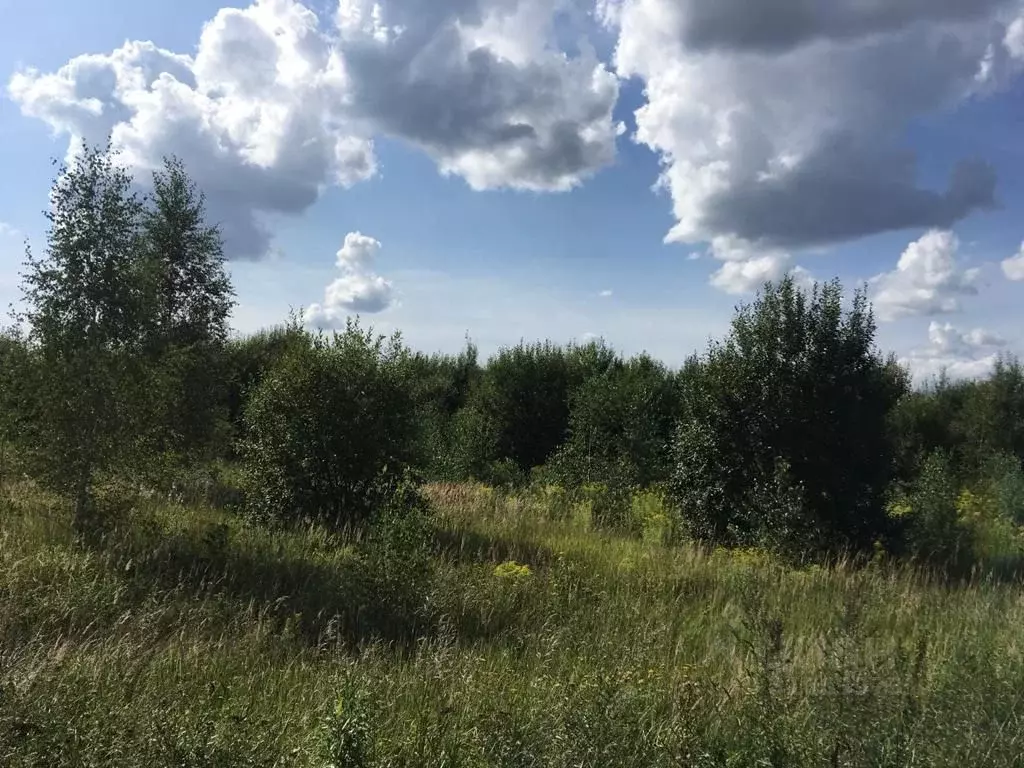 Участок в Московская область, Ступино городской округ, с. Васильевское ... - Фото 1