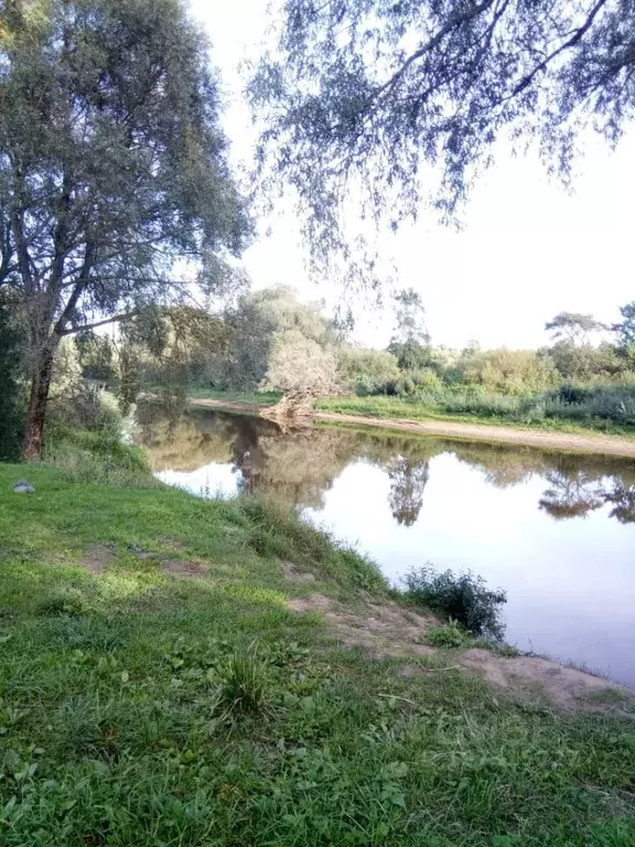 Участок в Новгородская область, Новгородский район, Бронницкое с/пос, ... - Фото 1