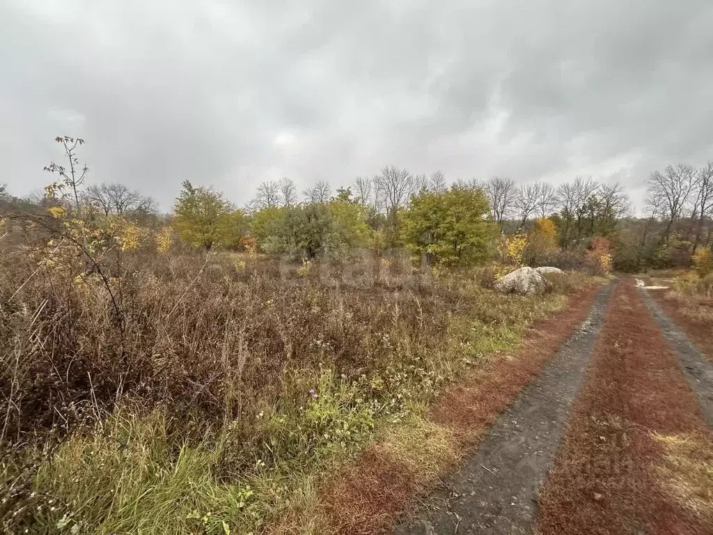 Участок в Белгородская область, Белгород Лимонник СТ, 596 (10.0 сот.) - Фото 2