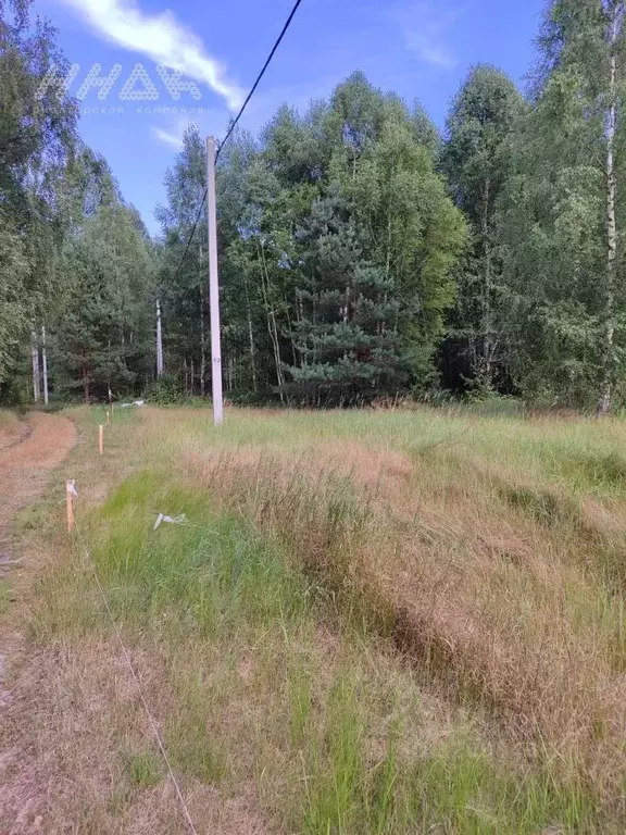 Участок в Нижегородская область, Нижний Новгород пос. Березовая Пойма, ... - Фото 2