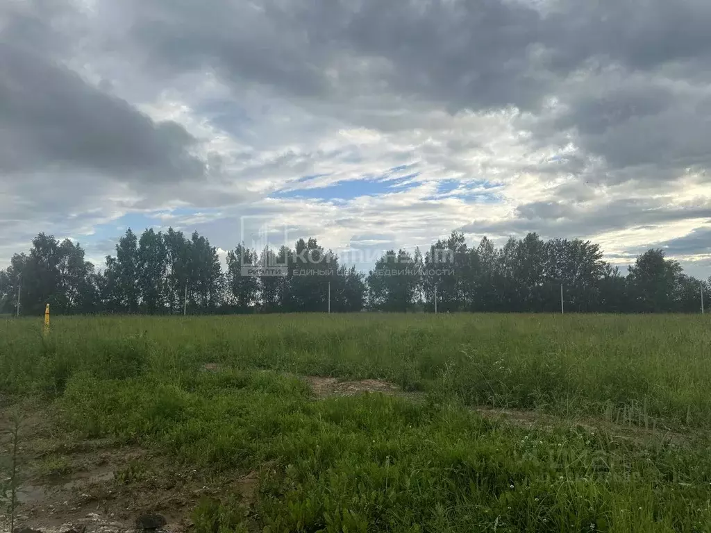 Участок в Владимирская область, Суздальский район, Боголюбовское ... - Фото 0