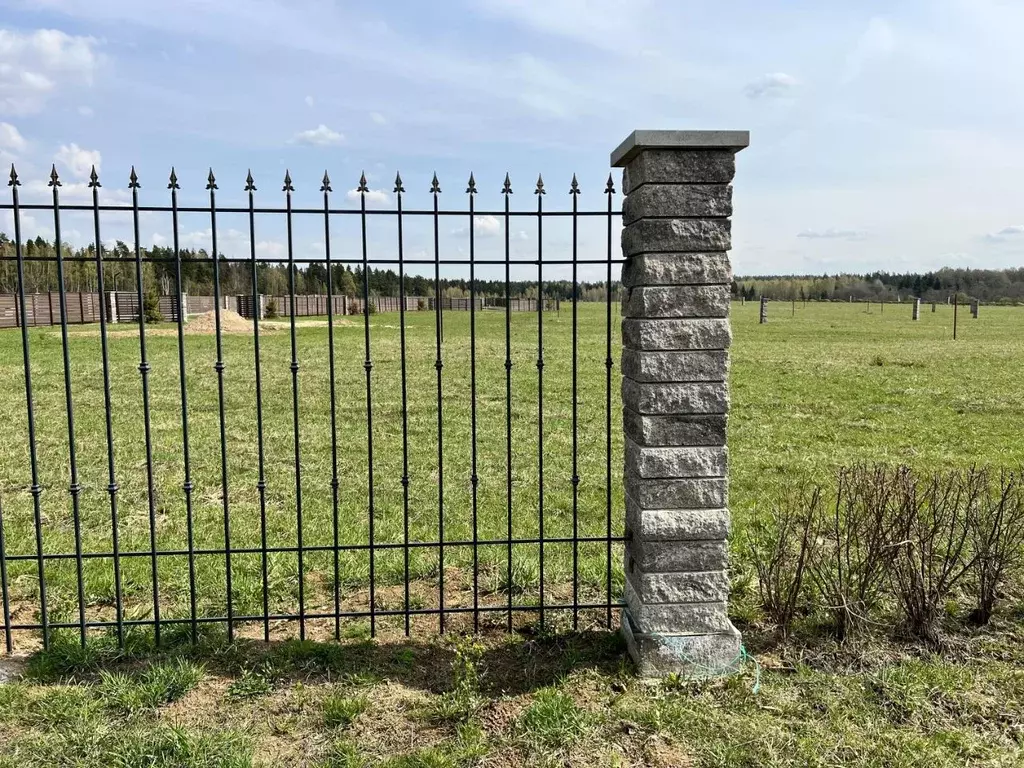 Участок в Московская область, Истра муниципальный округ, Снегири пгт ... - Фото 2