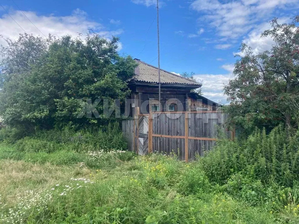Дом в Новосибирская область, Коченевский район, д. Крохалевка ул. Мира ... - Фото 0