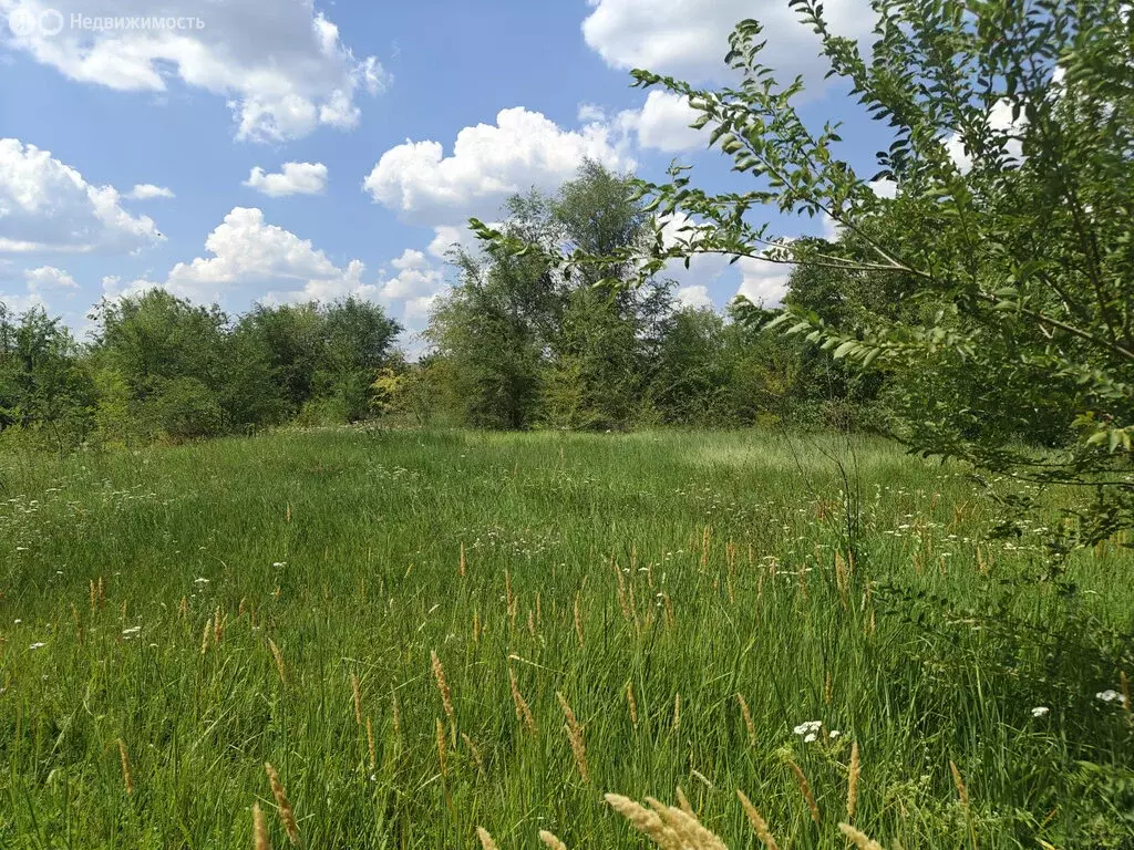 Участок в Егорлыкская, Сельская улица (12 м) - Фото 0
