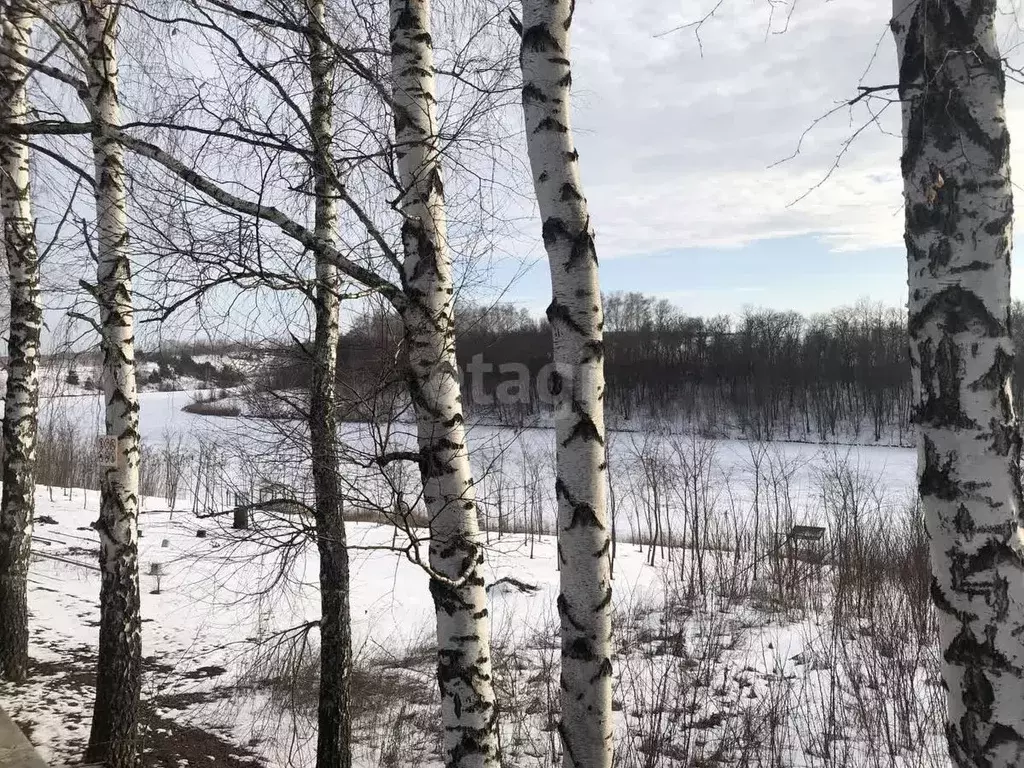 Участок в Белгородская область, Белгородский район, пос. Майский, ... - Фото 0