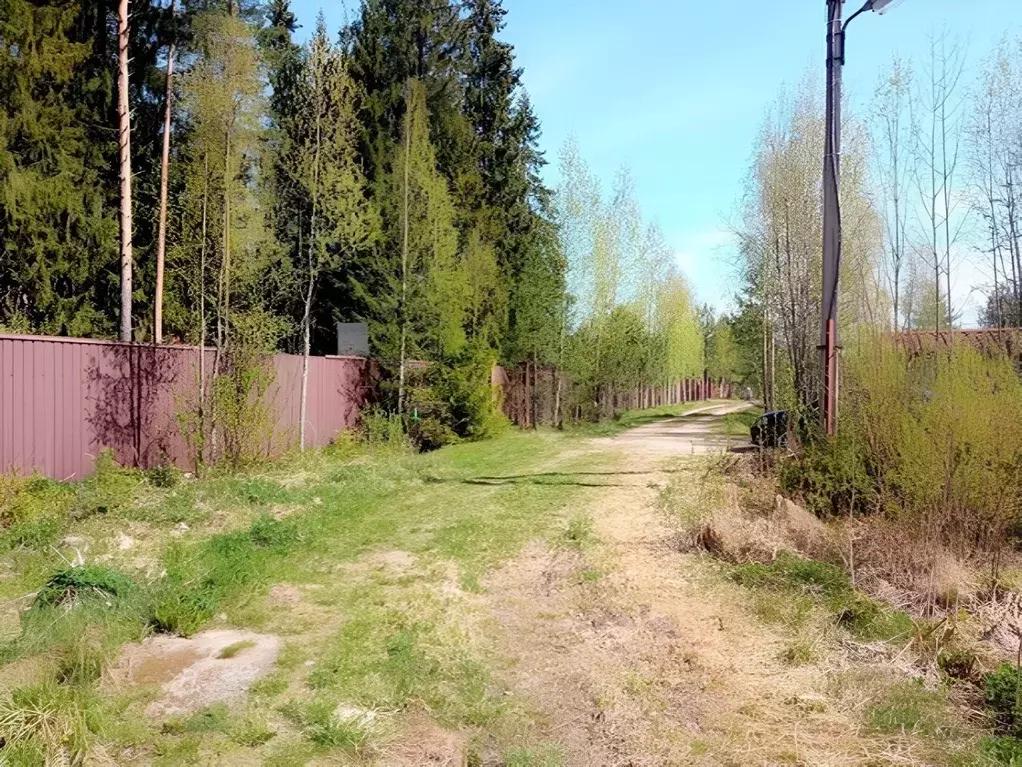 Участок в Ленинградская область, Гатчинский муниципальный округ, ... - Фото 0