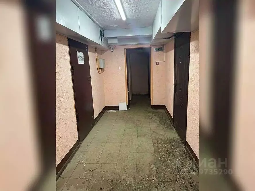 Помещение свободного назначения в Воронежская область, Воронеж ул. ... - Фото 2