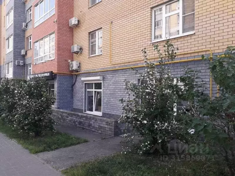 Торговая площадь в Нижегородская область, Нижний Новгород ул. Дунаева, ... - Фото 1