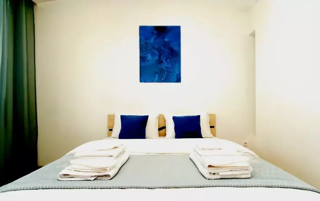 1-к кв. Новосибирская область, Новосибирск ул. Фрунзе, 49 (40.0 м) - Фото 2