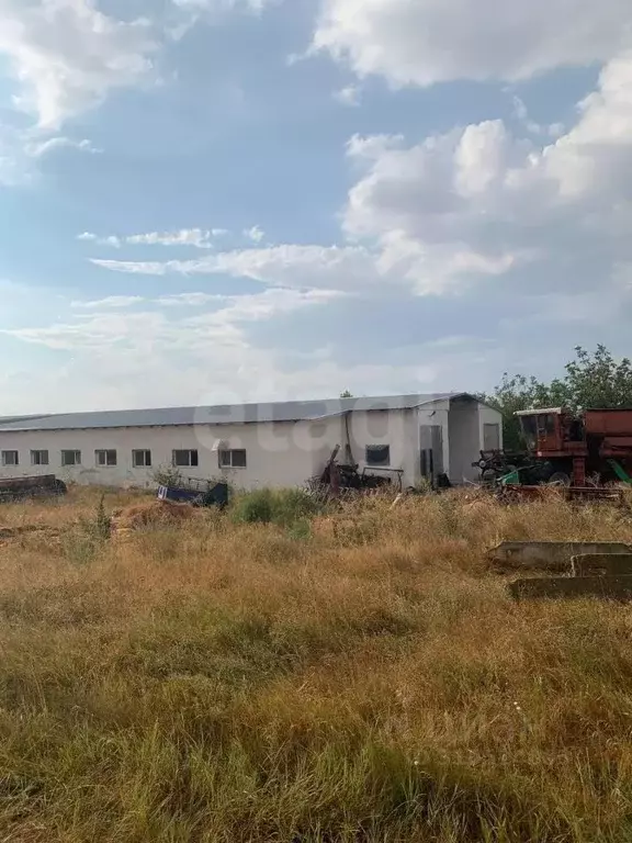 Склад в Крым, Белогорский район, Русаковское с/пос, с. Луговое ул. ... - Фото 1