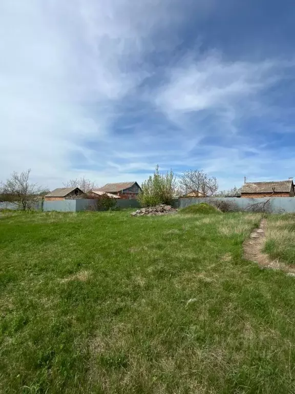 Участок в Ростовская область, Цимлянский район, Красноярское с/пос, ... - Фото 2