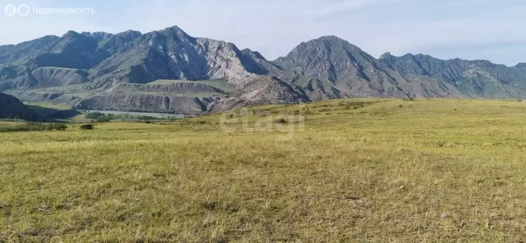 Участок в Онгудайский район, село Онгудай (100 м) - Фото 1