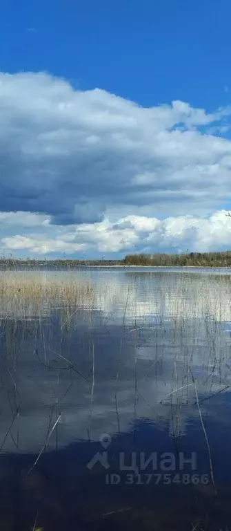 Участок в Тверская область, Осташковский муниципальный округ, д. ... - Фото 0