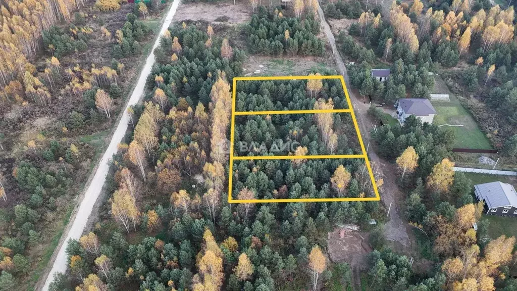 Участок в Владимирская область, Суздальский район, Боголюбовское ... - Фото 1