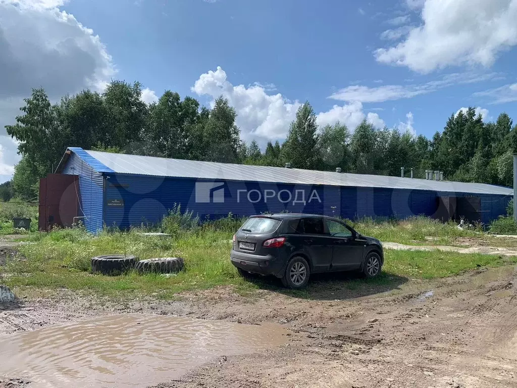 Сдам помещение свободного назначения, 1100 м - Фото 1