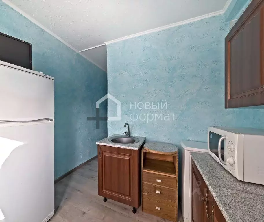 1-к кв. Московская область, Пушкинский городской округ, д. ... - Фото 2