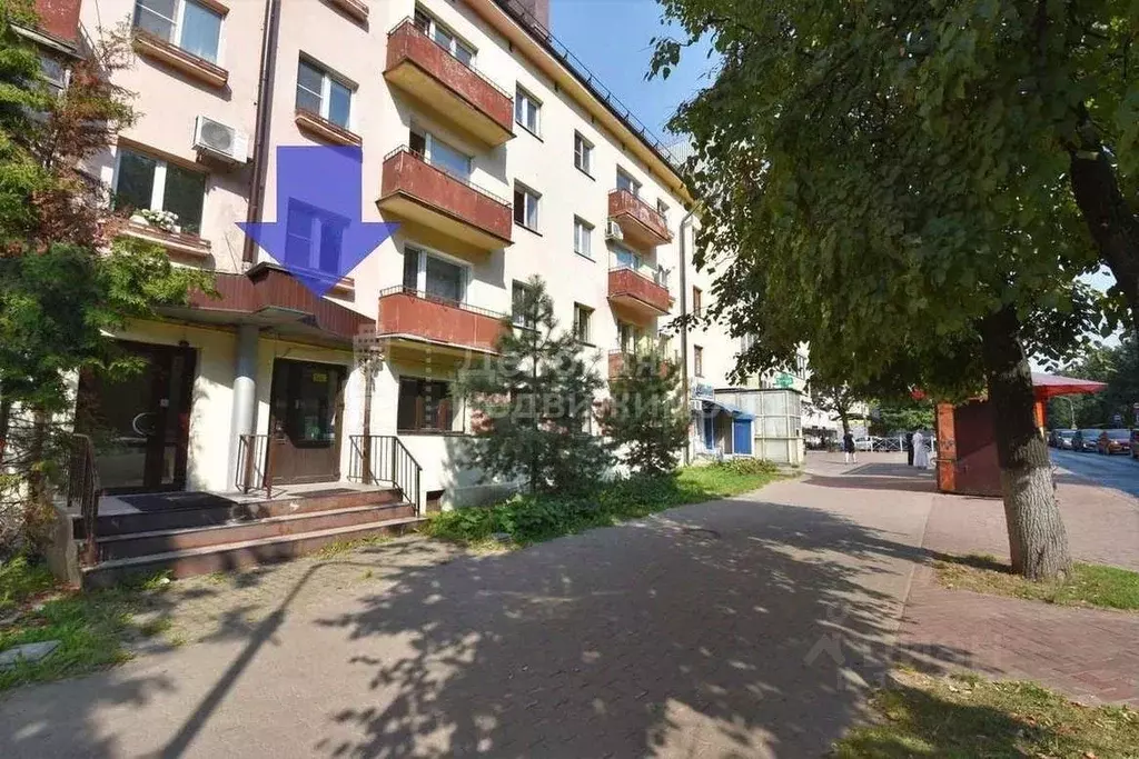 Торговая площадь в Новгородская область, Великий Новгород Район ... - Фото 0