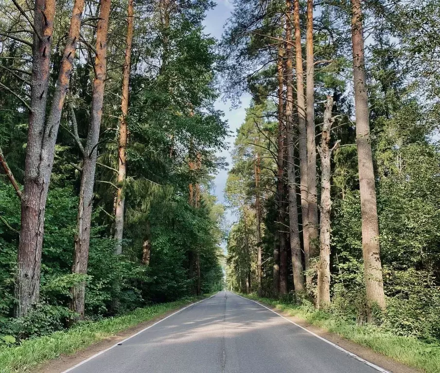 Участок в Московская область, Одинцовский городской округ, д. Ивановка ... - Фото 1