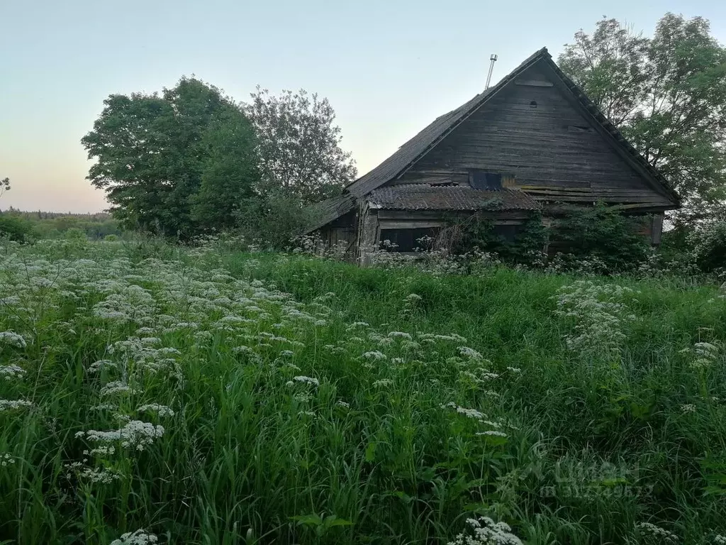 Участок в Псковская область, Порховский муниципальный округ, д. ... - Фото 1