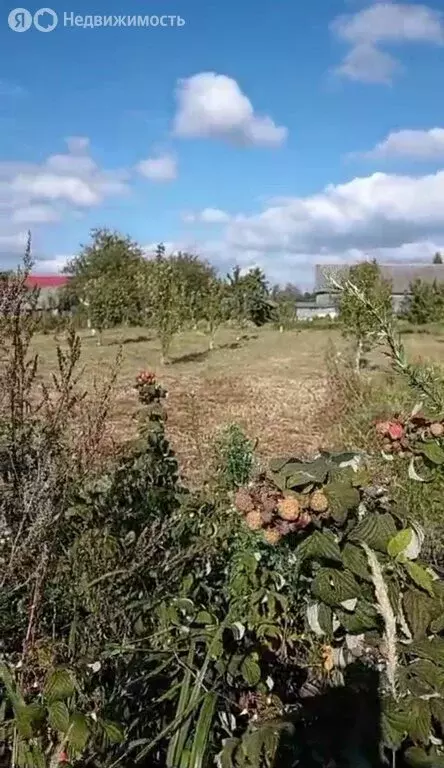 Участок в Навлинский район, Чичковское сельское поселение, село Бутрё ... - Фото 2