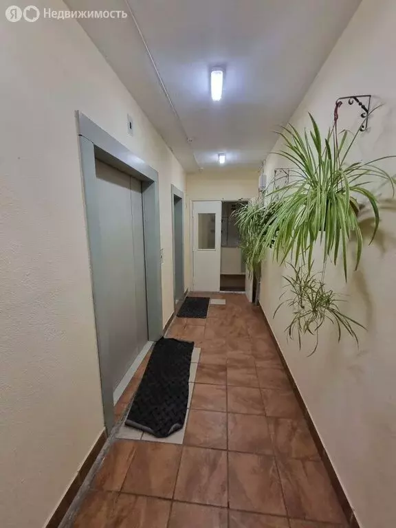 3-комнатная квартира: Подольск, улица Академика Доллежаля, 30 (74.8 м) - Фото 1