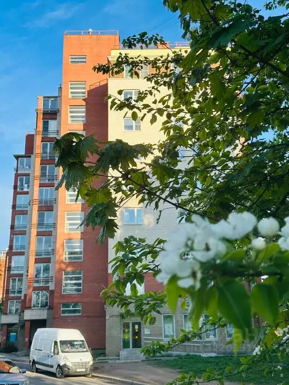 2-к кв. Ленинградская область, Выборг Ленинградское ш., 47 (70.0 м) - Фото 2