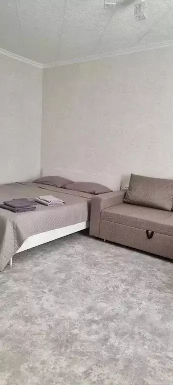 Студия Самарская область, Самара пос. Береза, 3-й кв-л, 1 (22.0 м) - Фото 1