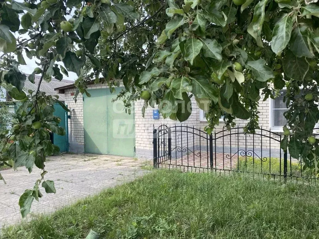 Дом в Курская область, Курск ул. Каширцева (125 м) - Фото 1