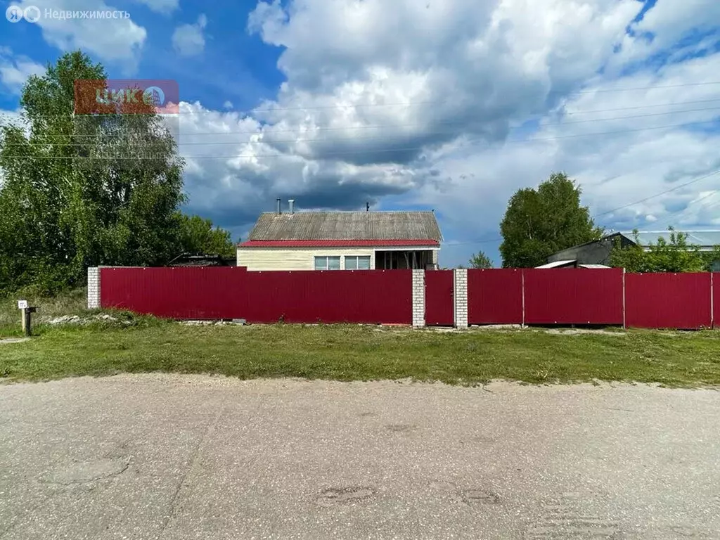 Дом в село Новики, Центральная улица, 105 (77 м) - Фото 0
