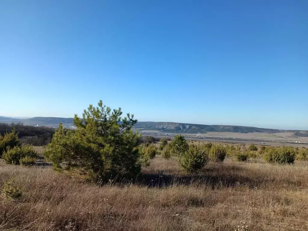 Участок в Крым, Бахчисарайский район, с. Скалистое ул. Калинина, 12 ... - Фото 0