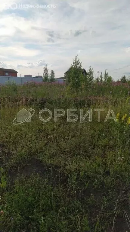 Участок в Тюменский район, село Кулига (11.9 м) - Фото 1
